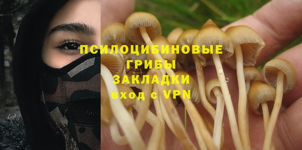 твердый Беломорск